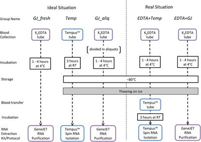 Integrating Whole Blood Transcriptomic Collection Procedures Into the Current Anti-Doping Testing System, Including Long-Term Storage and Re-Testing of Anti-Doping Samples